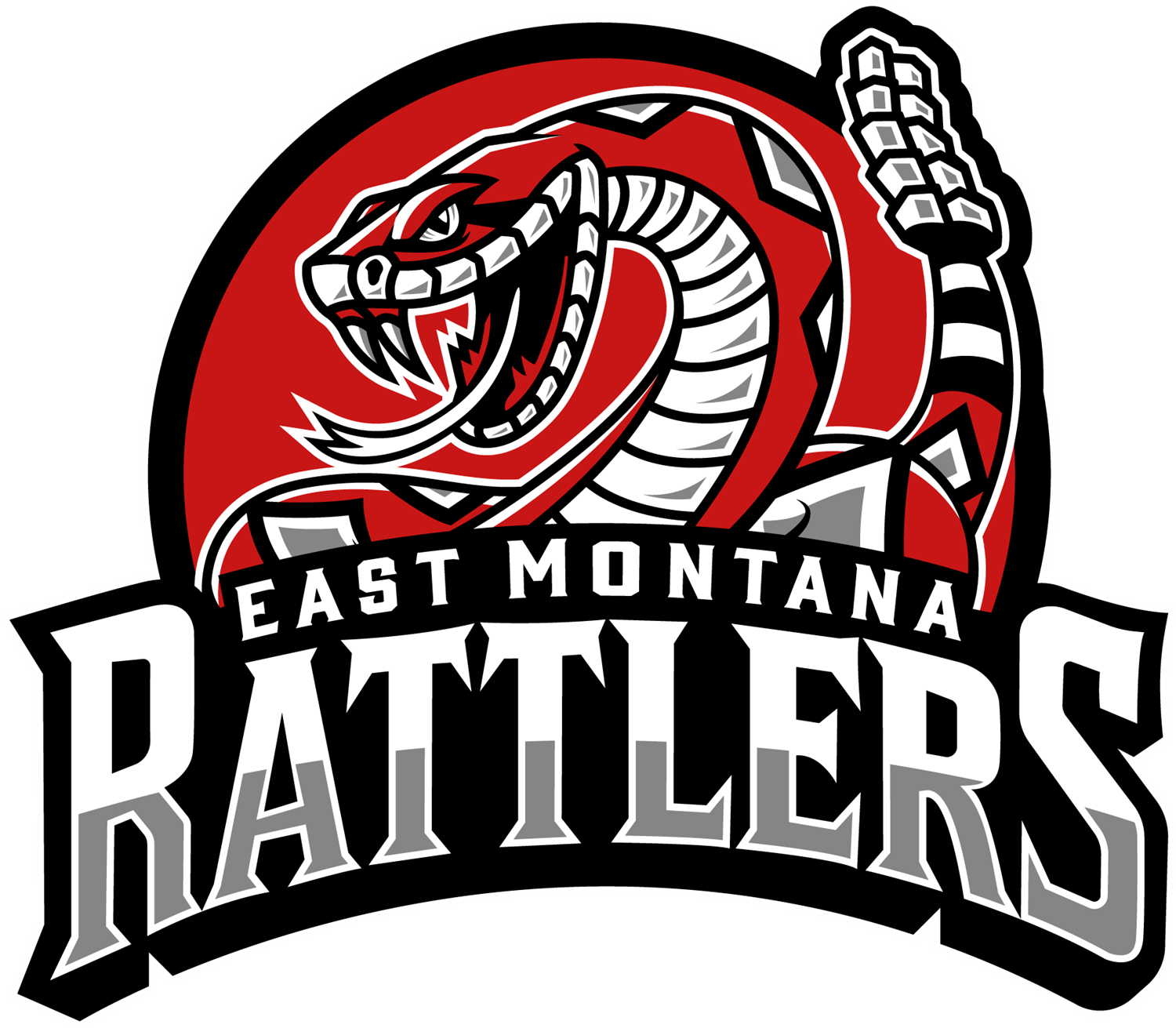 EMMS Logo